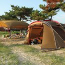 장삼포해수욕장 이미지