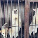 흥덕농장 이미지