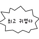 도나진 이미지
