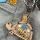 써니터틀 이미지