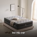 보니하우스 | 케이하우스 매트리스 45cm 써보니 허리 편한 Q사이즈 후기