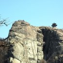 (주)청도여행사