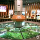 경상북도산림과학박물관 이미지