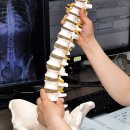 고산정형외과의원 이미지