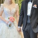 순수 | 울산아이폰스냅 순수스냅 내돈내산 본식촬영후기 (장문주의)