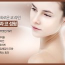 정성훈성형외과 네이버블로그