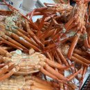 문예로 | 포항맛집 추천｜오이소 홍게 무한리필 내돈내산 후기