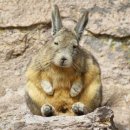 공감약국 이미지