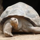 판교연세피부과의원 이미지