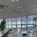여기가면 | 고양이 좋아하면 여기 안 가면 손해입니다… 🐈 부산 명지 캣플헤븐 다녀온 후기