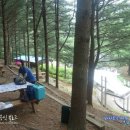 여름휴가 캠핑은 봉학산 산림욕장! 이미지