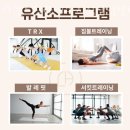 씨유 안산지식산업센터점 | 사동필라테스 라헨느필라테스 지식산업센터점 위치.가격.시간.후기