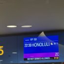 너를담다해변 | 결혼기념일 1주년 하와이 여행🏝️🌺 🌊