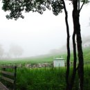 초동목장 이미지