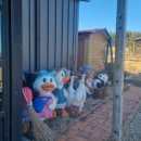 오리들2길 이미지