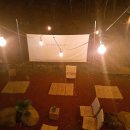 제주도화 이미지