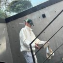 채널아이안경 이미지