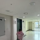국내 최대 타란튤라 분양점, 타란툴라코리아 브라질리언 블랙 입양 후기