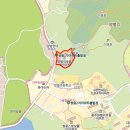 연세손소아청소년과의원 이미지