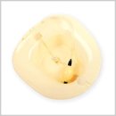 세정메디칼 이미지