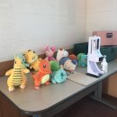 아리댕댕애견카페 이미지