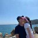 행복한일상 이미지