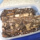 순조농장 이미지