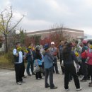 지리산약초 이미지