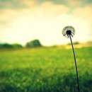 [1급과정] 독서지도사 1급 이미지