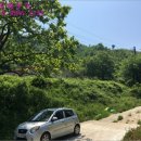 경기도 안성시 고삼면사무소 이미지