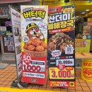 다로아 네이버블로그
