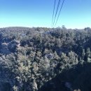 ㈜푸른숲Self주유소 | 아이동반 시드니, 멜버른 여행 4.Featherdale Wildlife Park, Scenic World in Blue Mountain...
