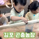 대인농장 | 곤충체험 후기 서울 근교 아이와 가볼만한곳 김포 곤충농장