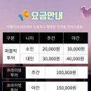 웅천남7로 | 전남 여수 웅천 요트투어 오후 4시 카멜리아요트 주차 가격 예약 이용후기