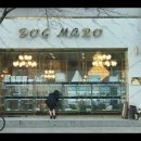 도그마루 강아지고양이 서초강남점 이미지