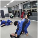 흑추관합기도복수동주짓수 | 금촌주짓수 도장에서 만난 나의 새로운 도전과 성장