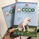 진부띠그 | BYC 강아지 개리야스 할매꽃나시 레트로 감성 반려견 쿨나시