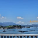 효심 농장 이미지