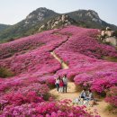 신창제1 공원(풍영) | 4월 여행 추천장소: 주머니 가볍게 떠나는 국내 봄꽃 나들이