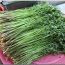 수호농장 이미지