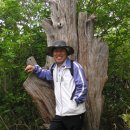 백산초등학교 이미지