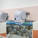 마이테르 수영장 연동점 이미지