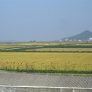 강화바다 이미지