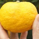 참샘농장 이미지