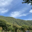미소가든 펜션 야영장 | 충북 제천, 미소가든펜션야영장(캠핑장) 벚꽃존 후기