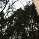 대우꿈나무어린이집 이미지