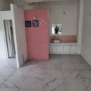 워킹펫살롱 이미지