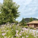 풍림작은도서관 | 충북 보은 가볼만한곳 오장환문학관 사직단 인산객사