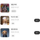 뷰티플러스 반려동물AI 내돈내산 후기