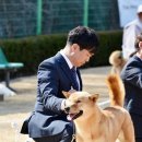 두치 이미지